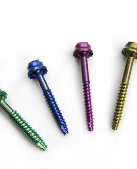 FACET SCREWS